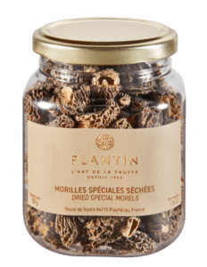 Wilde Morcheln getrocknet TOP PLANTIN